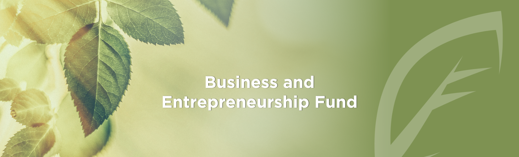 Business and Entrepreneurship Fund